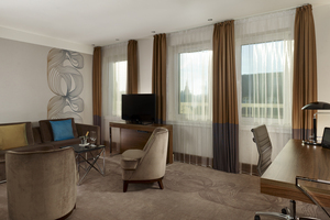 One Bedroom Suite One Bedroom Suite