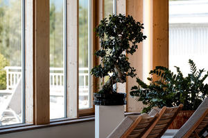 Wellness - Ruhebereich
