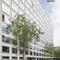 Tagungshotel Placid Hotel Zurich Vorschaubild Tagungshotel Placid Hotel Zurich