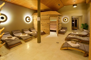 SEINZ_Wellness