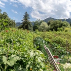 SEINZ_Sonstiges_Blick_auf_die_Berge