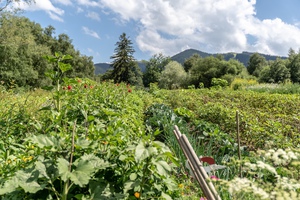 SEINZ_Sonstiges_Blick_auf_die_Berge
