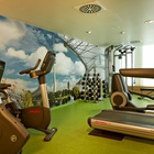 Fitness