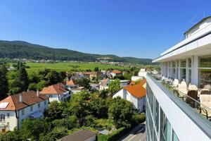 Vorschaubild Panorama Hotel Am Rosengarten / Neustadt Weinstraße