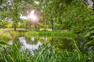 Gartenanlage & Hotelteich