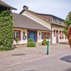 Pferde am Linslerhof