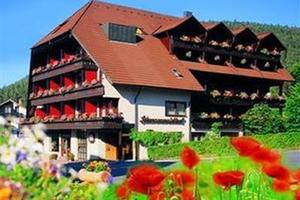 Vorschaubild Hotel Schwarzwaldhof