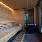 Business Sauna