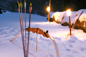 Im Winter bietet der Park den geeigneten Rahmen für kleinere aktivitäten. Auf den Höhen des Schwarzwaldes bietet der Teamperformer zum Beispiel eine Winterolympiade im Schnee.