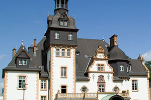 Vorschaubild Villa Manskopf
